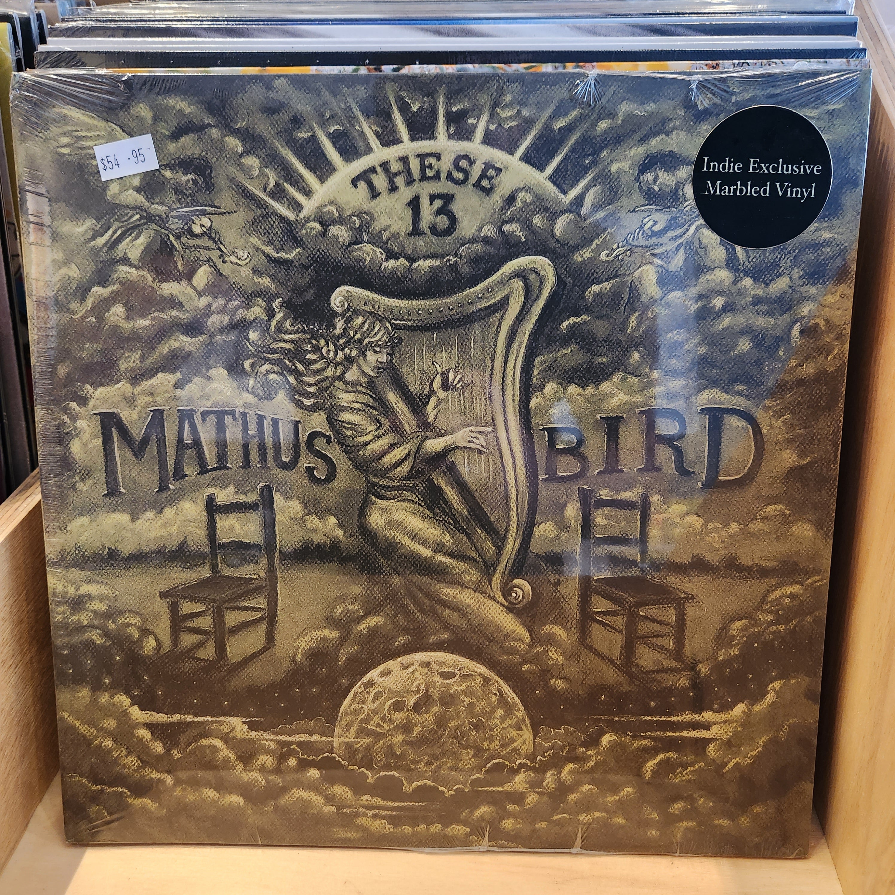 Jimbo Mathus & Andrew Bird - These 13 (Dark Grey Indie Exclusive Vinyl LP) | Limited Edition Indie Record Store Exclusive | Perfect for Vinyl Collectors & Indie Music Fans