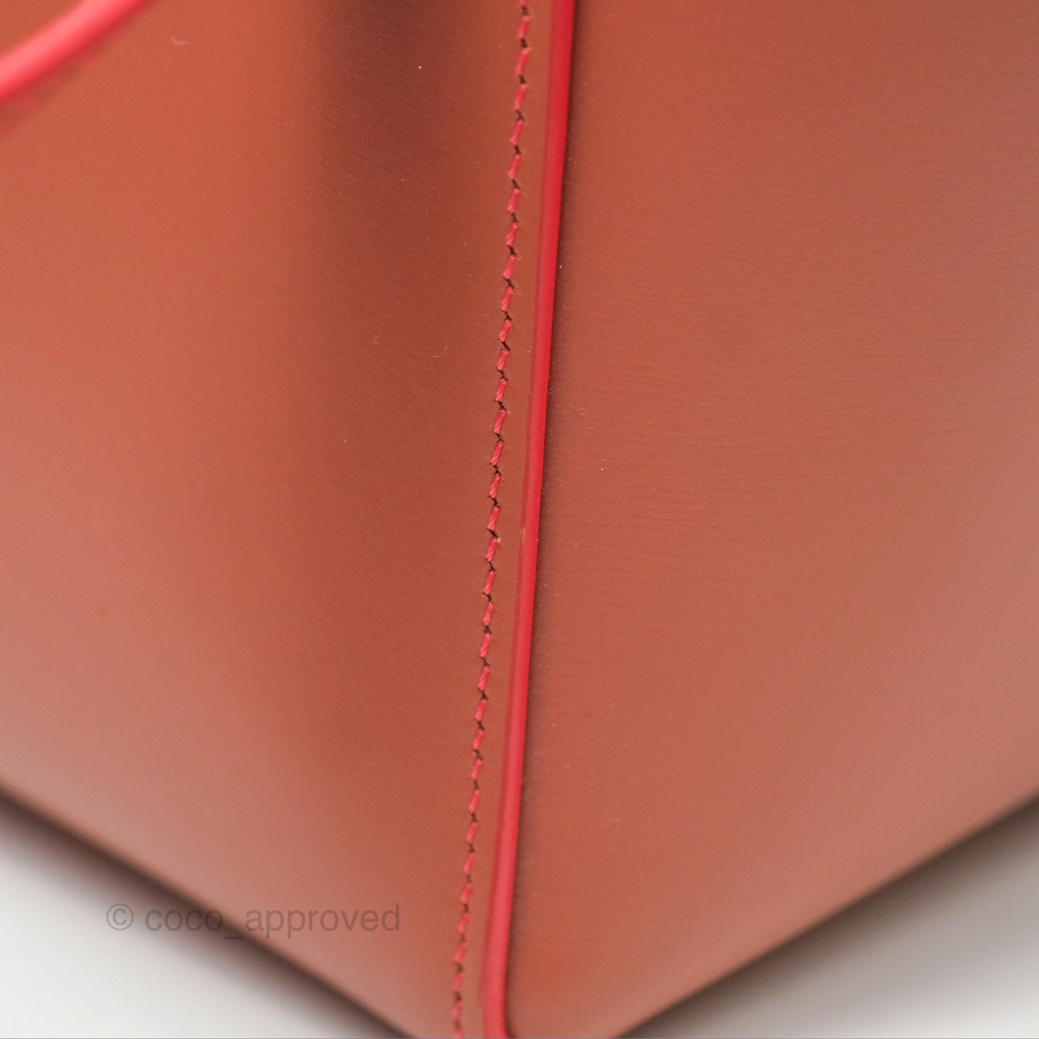 Celine Micro Belt Bag in Terracotta | Smooth Leather with Gold Hardware | Perfect for Work, Travel & Everyday Use