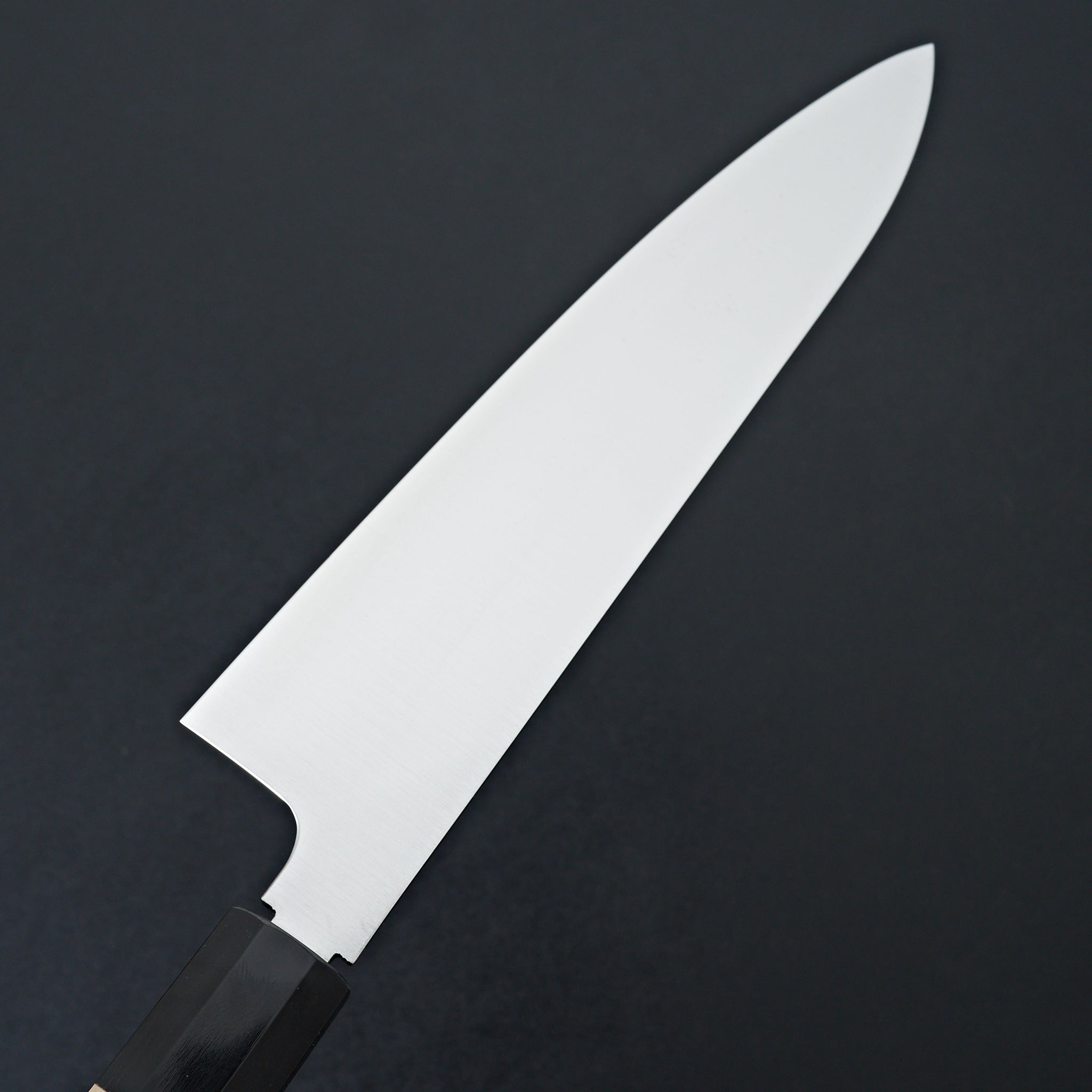 Premium Hitohira FJ VG-10 Gyuto Japanese Chef Knife 240mm with Taihei Ho Wood Handle - Perfect for Sushi, Meat Slicing & Professional Kitchen Use