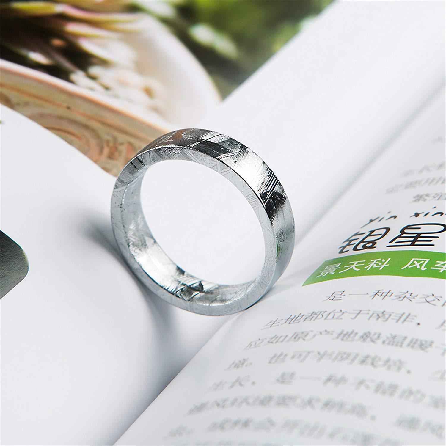 Genuine Natural Gibeon Iron Meteorite Silver Ring - Size 11 - Elegant Party & Love Jewelry for Women - Perfect for Weddings, Anniversaries & Special Occasions