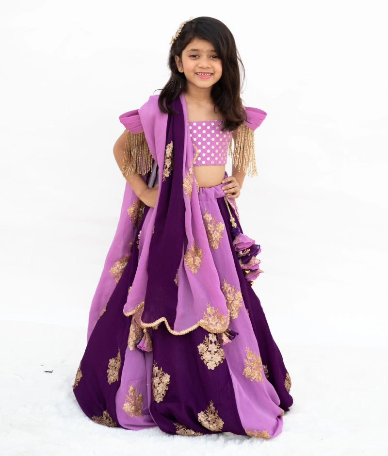 Pre Order: Lilac & Purple Embroidered Lehenga Set for Women - Indian Bridal Wear, Wedding Guest Outfit, Festive Party Dress, Diwali & Holi Celebration Costume