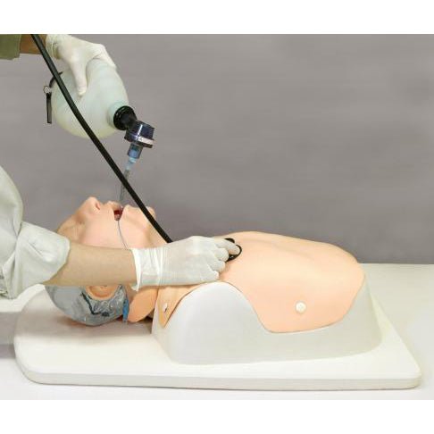 Difficult Airway Management Simulator - High-Fidelity Medical Training Model for Anesthesia & Emergency Practice - Perfect for Hospitals, Medical Schools & Residency Programs