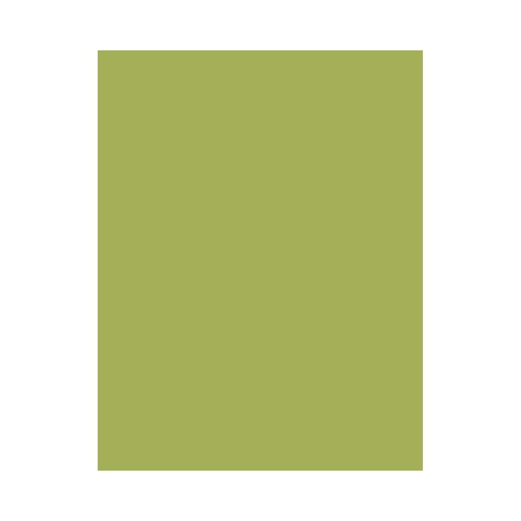 Hero Arts PS308 Premium Cardstock Paper - Hero Hues Kiwi Green for Card Making, Scrapbooking & DIY Crafts
