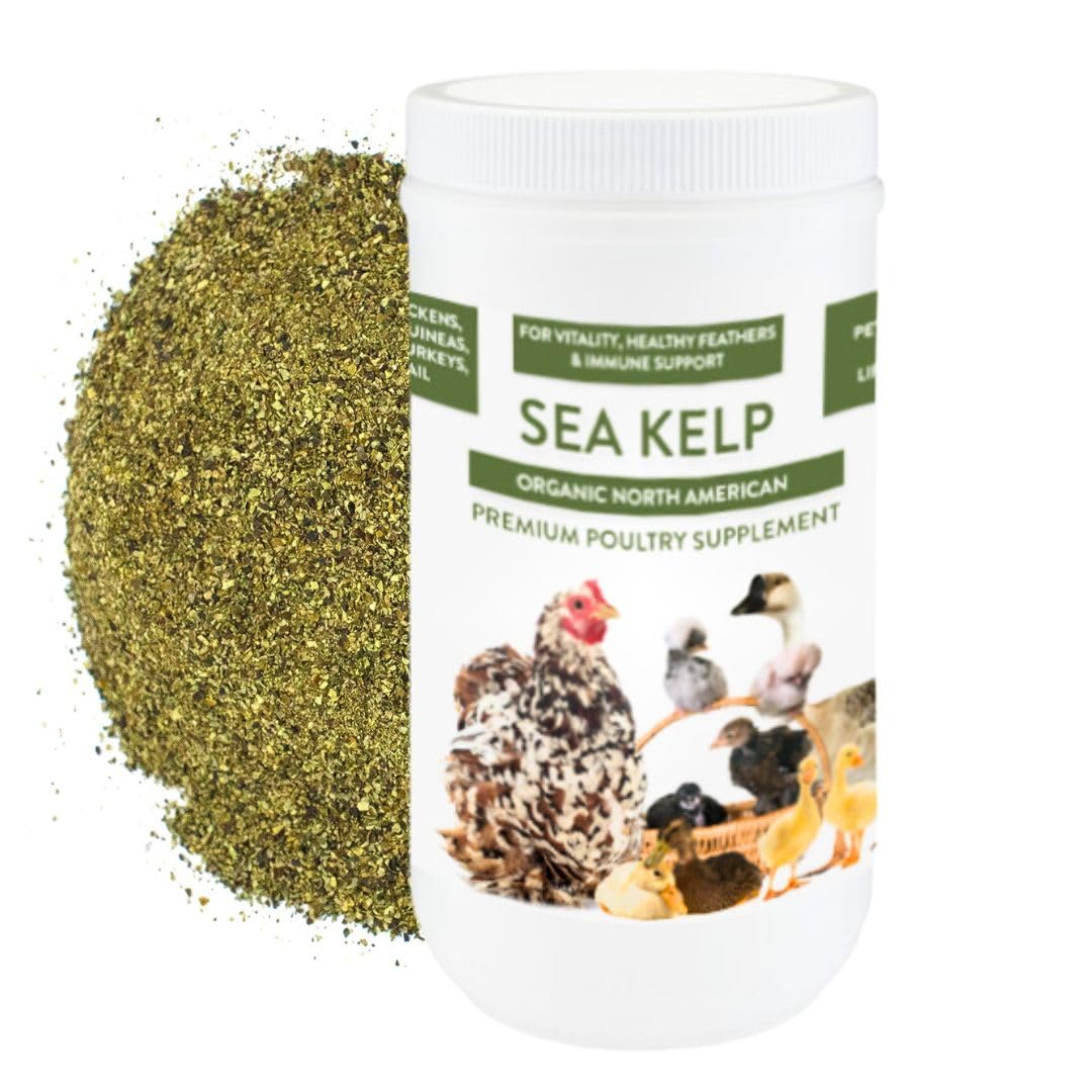 Organic Kelp for Chickens & Ducks - 5lb Natural Poultry Feed Supplement with Vitamins & Minerals | Healthy Egg Production Boost | Perfect for Backyard Flocks & Free-Range Birds | Farm & Homestead Use