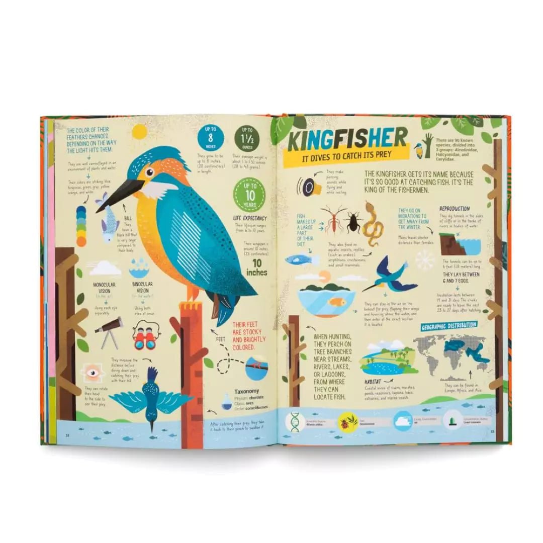 Octavio Pintos: The Hunters - Predators of the Animal Kingdom | Illustrated Wildlife Book by Martin Iannuzzi | Perfect for Nature Lovers & Animal Enthusiasts