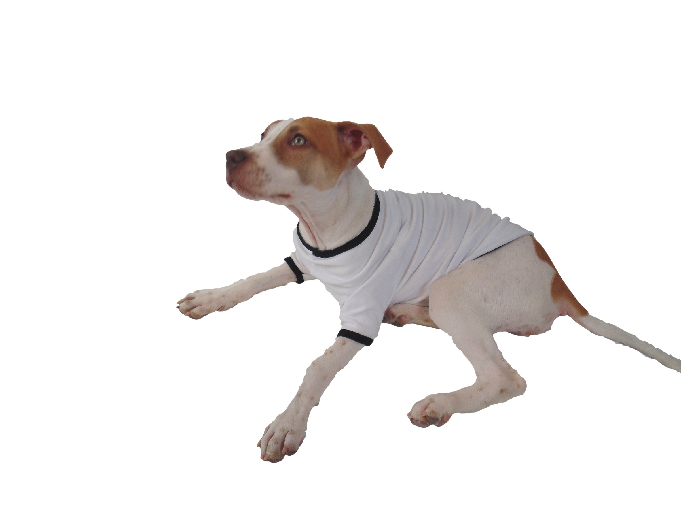 TOOLOUD Camp Half-Blood Dog Shirt - White & Black - Large for Pet Lovers