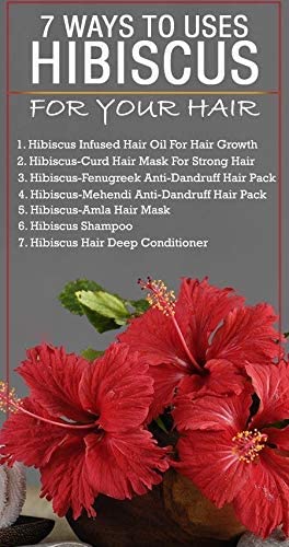 Organic Raw Hibiscus Flowers 100g - Dry Hibiscus (Rosa-Sinensis) for Hair Growth & Skin Care | Natural Gudhal Ka Phool | Pure, Unprocessed | Perfect for DIY Hair Masks, Face Packs & Herbal Teas