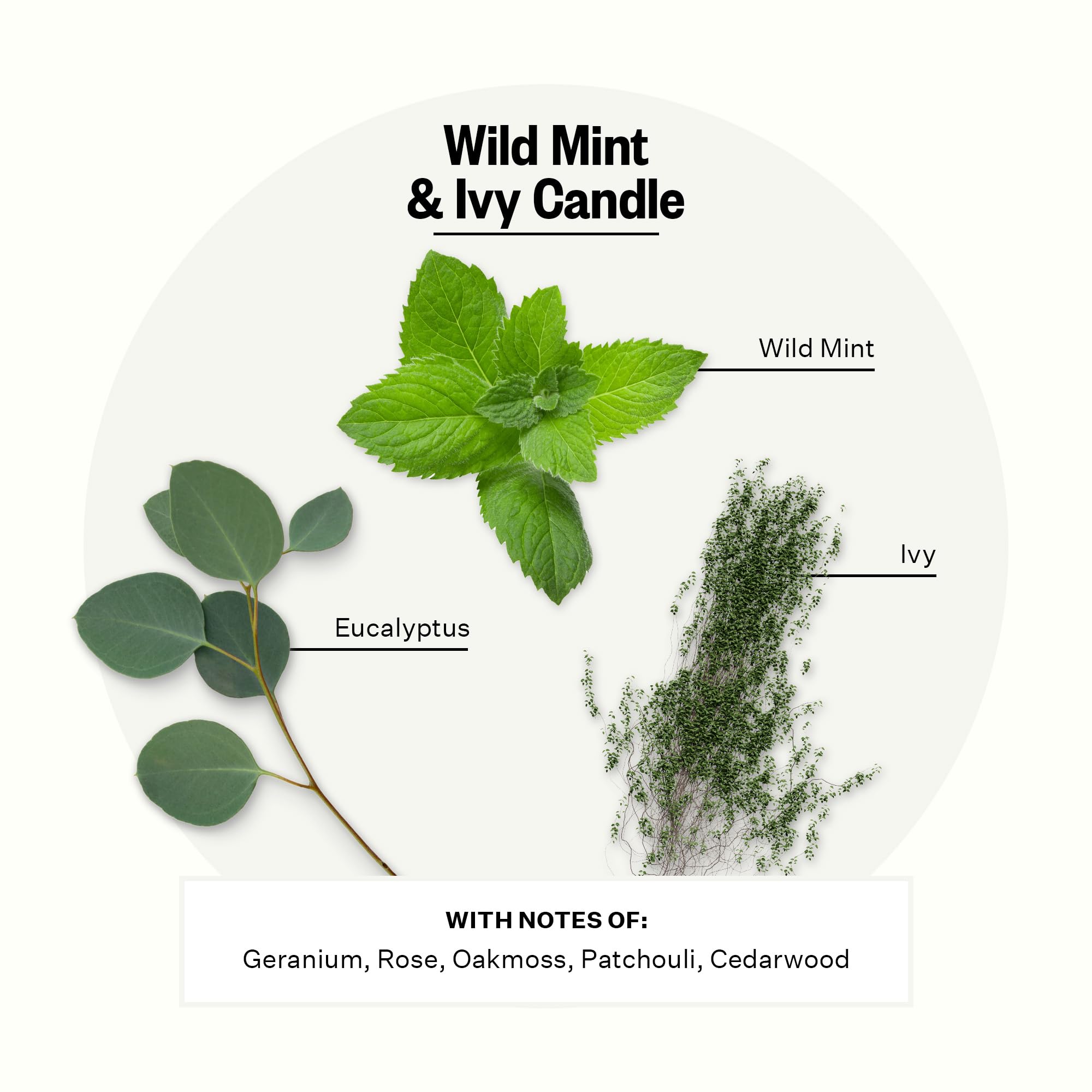 Apotheke 3-Wick Scented Soy Wax Candle - Wild Mint & Ivy Aroma, 26 oz Jar, 120-140 Hours Burn Time | Cedarwood, Oakmoss, Patchouli, Eucalyptus | Home Fragrance for Relaxation, Meditation & Aromatherapy
