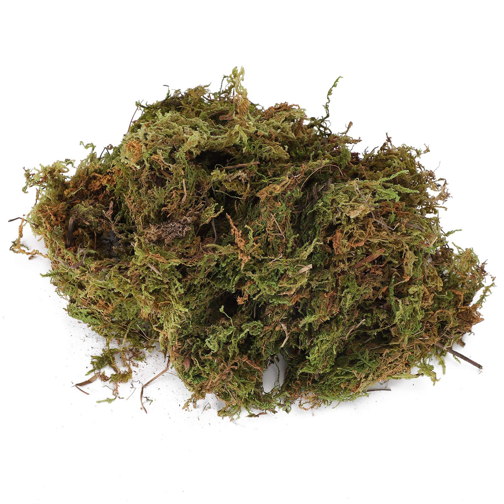 Natural Sphagnum Moss for Reptile Terrarium - Live Green Moss Substrate, Decorative Terrarium Moss for Reptiles, Amphibians & Vivariums - Ideal for Habitat, Nesting & Moisture Retention
