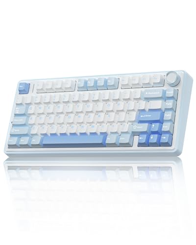 Salt White Blue