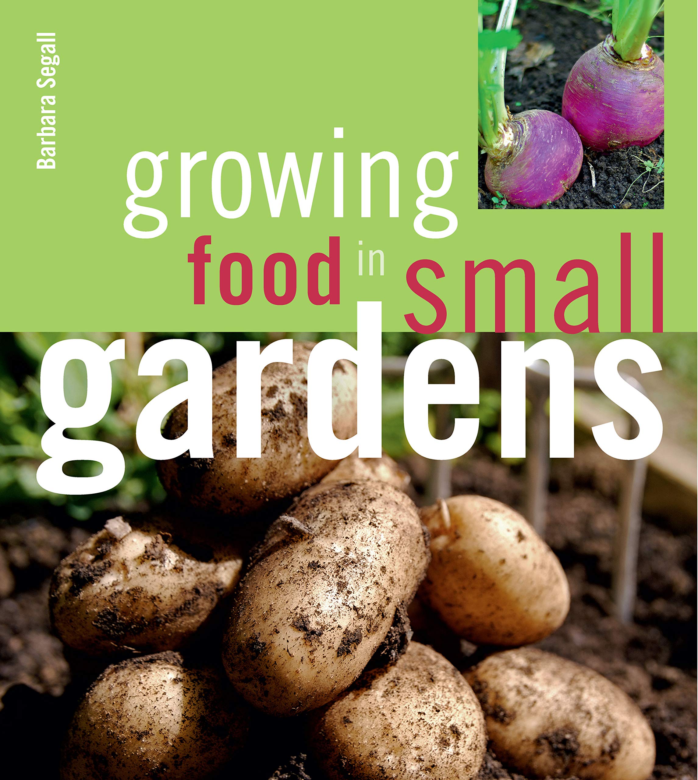 Best Vegetables & Herbs for Small Gardens - Easy to Grow at Home | Perfect for Urban Balconies & Patios