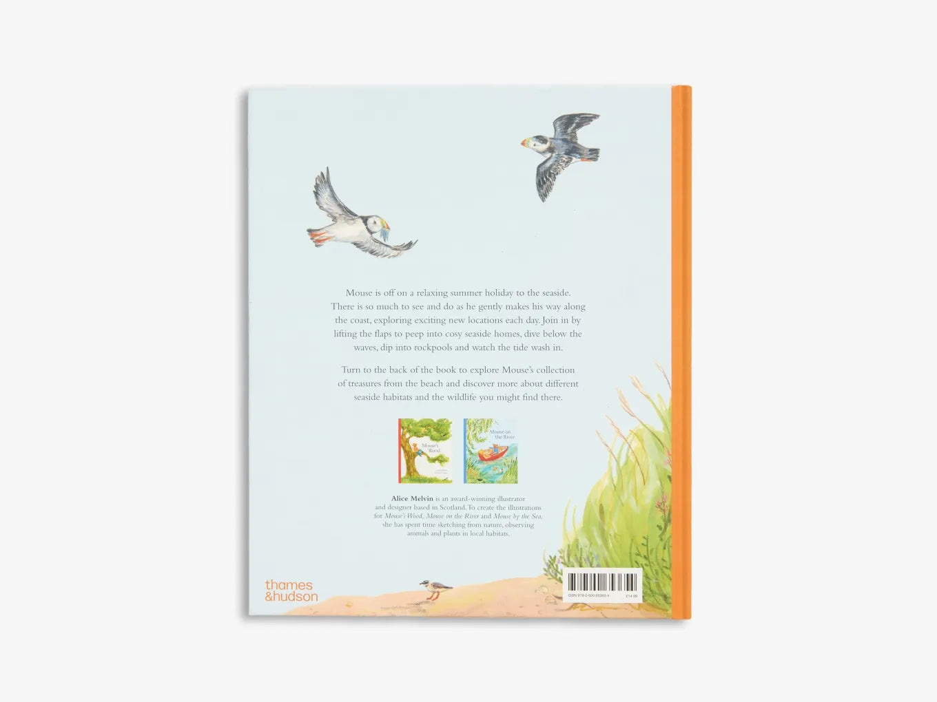 Mouse by the Sea - Children's Picture Book from Mouse’s Wood Series | Perfect for Bedtime Stories & Early Reading | Great Gift for Kids Ages 3-7