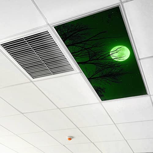 Full Moon Green Tree Branch