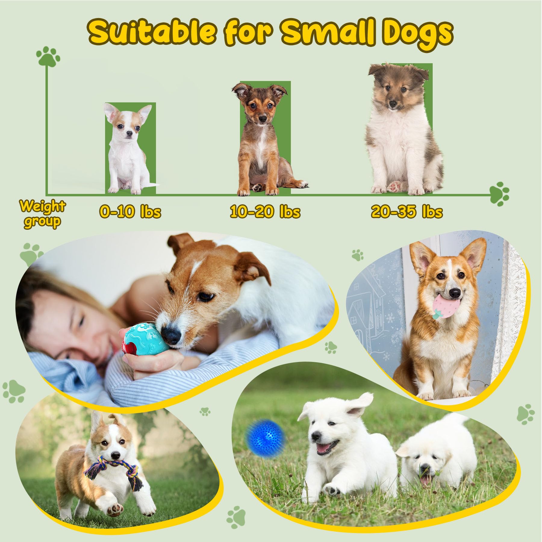 22-in-1 Puppy Teething Chew Toy Set with Rope, Squeaky Toys & Treat Balls - Safe Dental Chew Toys for Small Dogs & Puppies - Perfect for Teething Relief, Playtime & Training