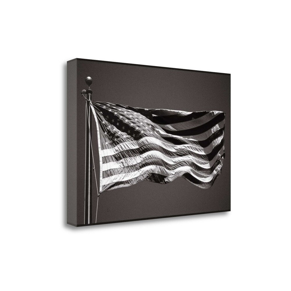 Americana By James Omara - Premium Fine Art Giclee Print on Gallery Wrapped Canvas - Ready to Hang Wall Art for Living Room, Bedroom & Office Decor