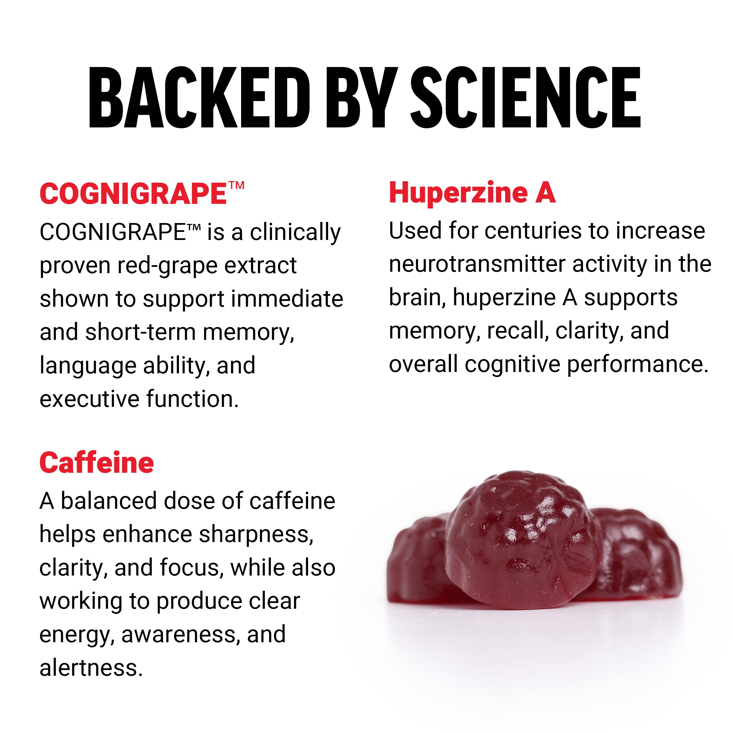Force Factor Forebrain Gummies - Nootropic Brain Support Supplement for Memory & Focus | Brain Vitamins with COGNIGRAPE & Huperzine A | Focus Gummies to Enhance Recall & Mental Sharpness | 60 Count | Perfect for Students, Professionals & Gamers