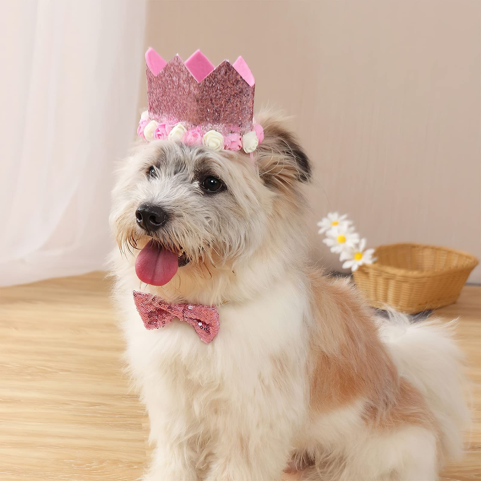 PartyWoo Dog Birthday Party Supplies Set - 15pcs Pink Dog Party Decorations Including Birthday Bandana, Hat, Banner & Balloons for Small & Medium Dogs | Perfect for Pet Birthday Celebrations, Puppy Parties & Dog-Themed Events