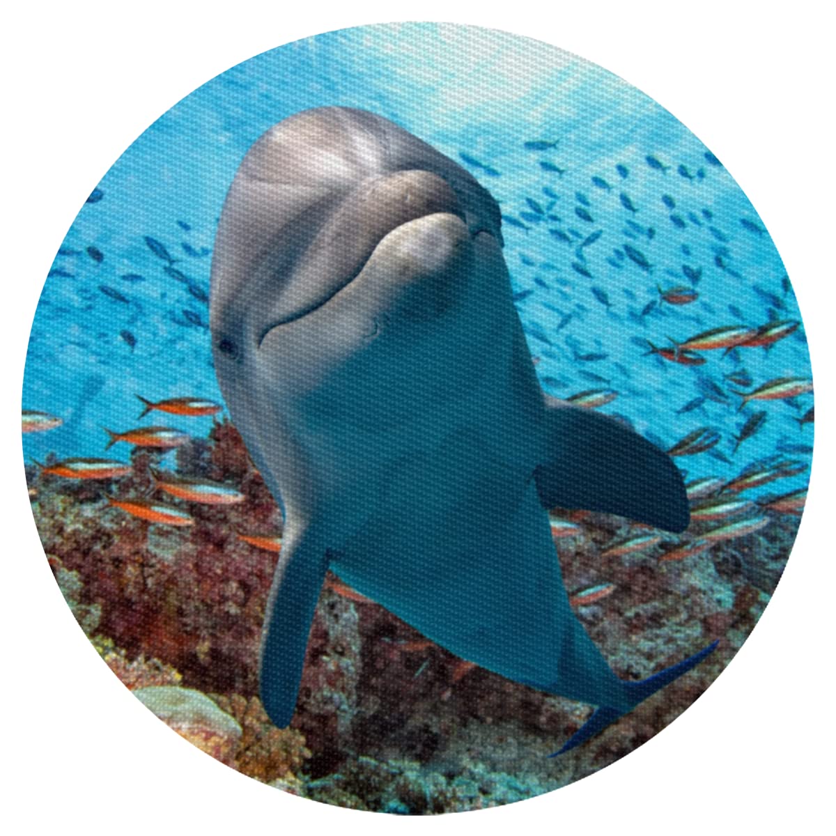 Dolphin Underwater Round Placemats Set of 6 - 15 Inch Heat-Resistant PVC Table Mats for Dining, Kitchen & Patio - Waterproof & Durable for Indoor/Outdoor Use - Perfect for Beach-Themed Decor, Pool Parties & Coastal Home Dining