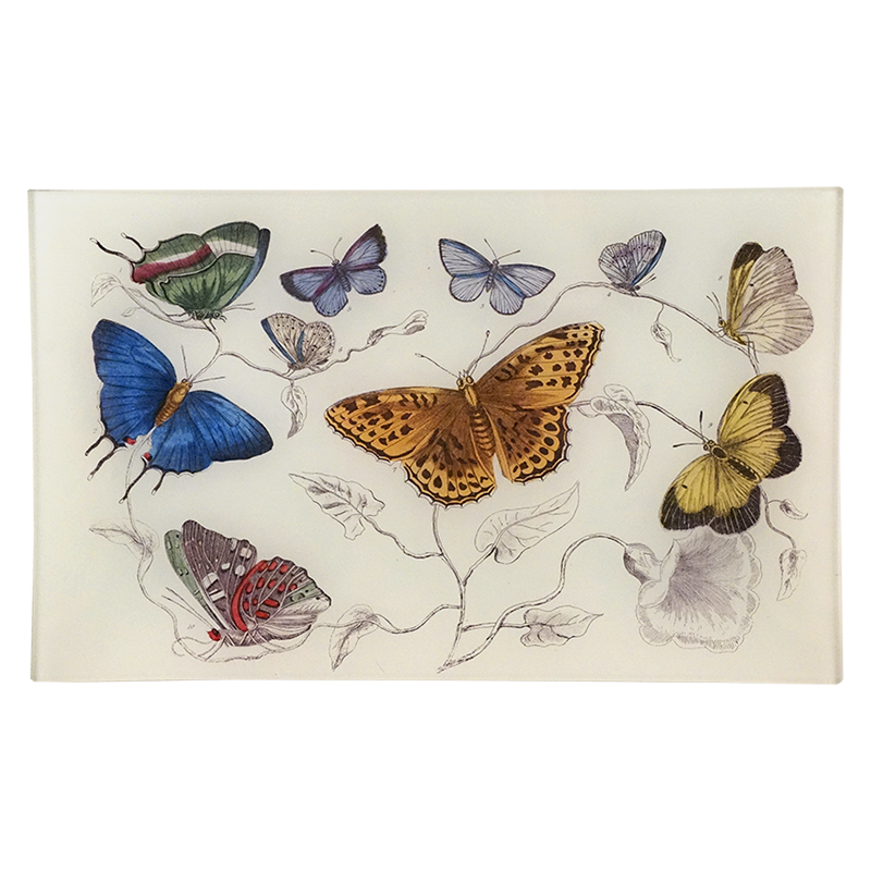7T Butterflies PNG Images - High Resolution Digital Download for Scrapbooking, Invitations & DIY Crafts