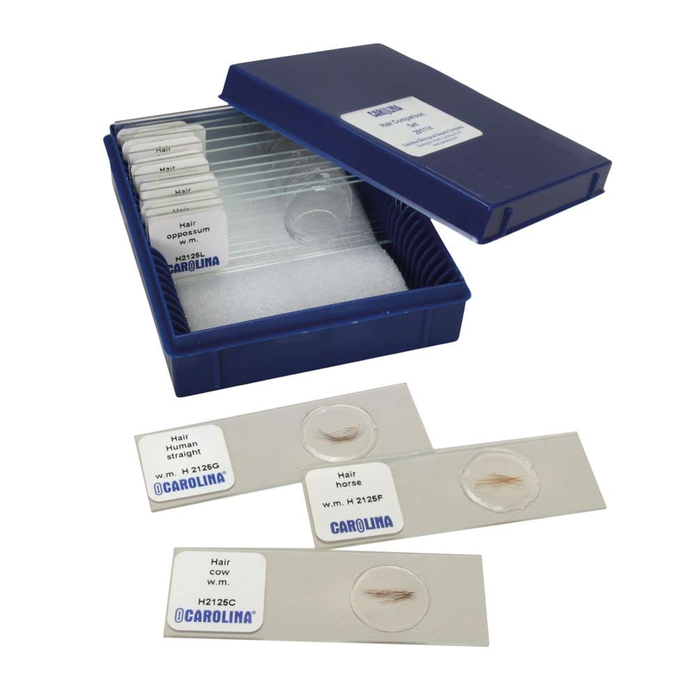 Hair Comparison Microscope Slide Set for Forensic Analysis, Biology Studies & Education - 25 Prepared Slides with Human & Animal Hair Samples