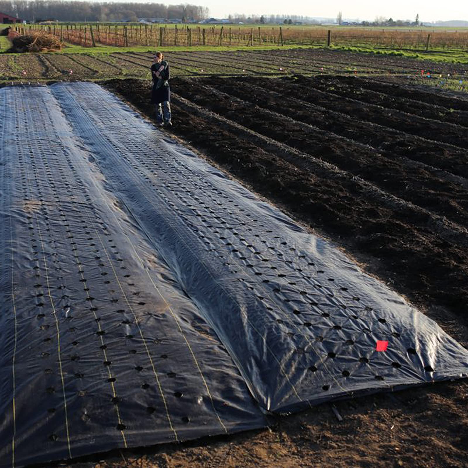 Heavy Duty 6.5x330 ft Driveway Fabric - 3.5OZ Commercial Grade Weed Barrier & Landscape Fabric for Erosion Control, French Drains, Construction Projects | Perfect for Road Stabilization, Garden Weed Prevention & Landscaping Projects