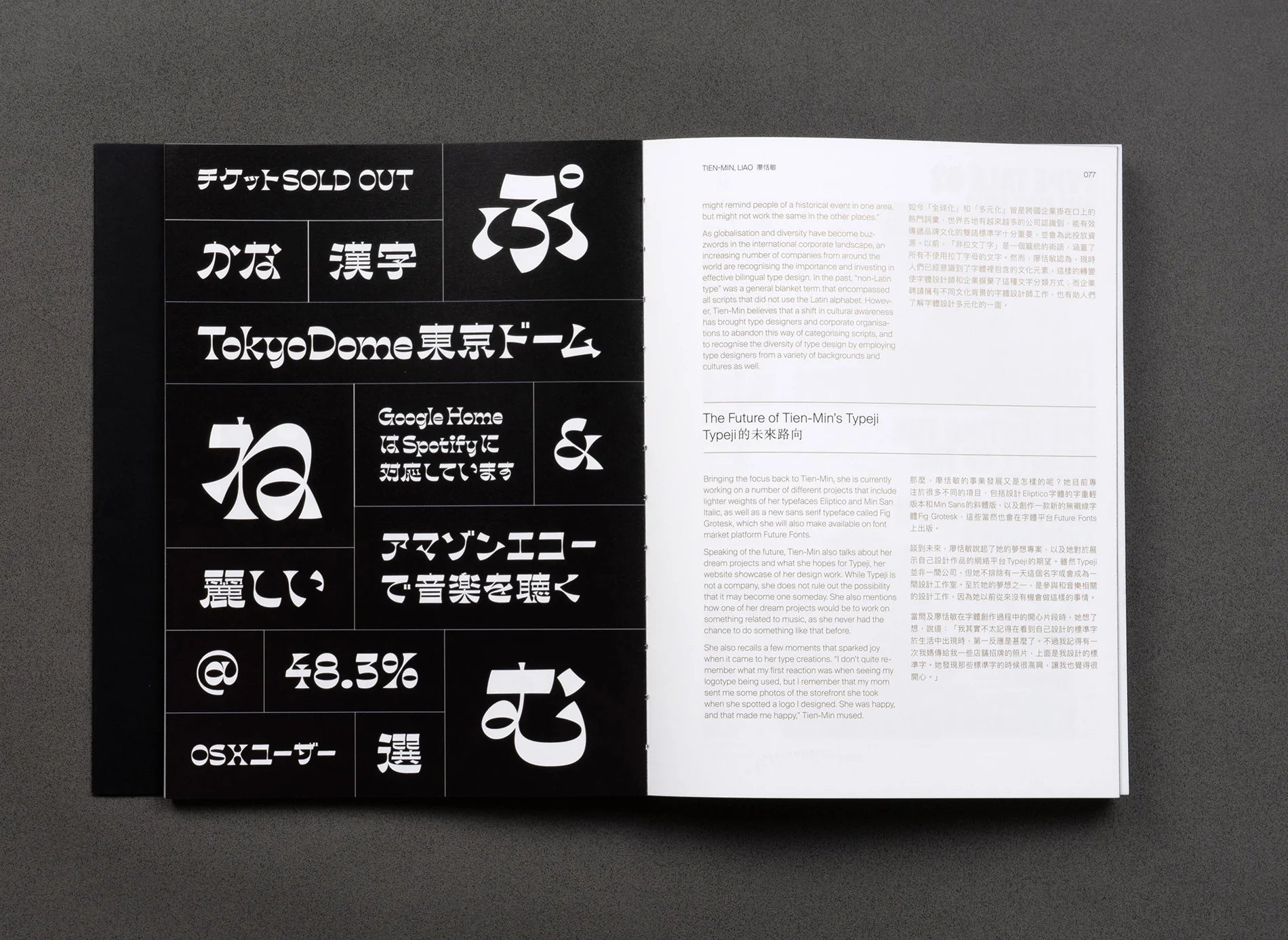 Hanzi Kanji Hanja 2: Modern Chinese Typography Design Book for Graphic Artists & Calligraphy Enthusiasts | Perfect for Logo Design, Branding Projects & Cultural Studies