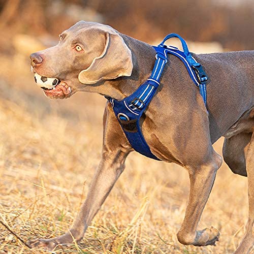 WINHYEPET No Pull Dog Harness - Reflective Adjustable Soft Mesh Vest for Small, Medium & Large Dogs - Padded Comfort for Running, Walking & Easy Control (Brown, Small) - Perfect for Outdoor Adventures, Daily Walks & Training Sessions