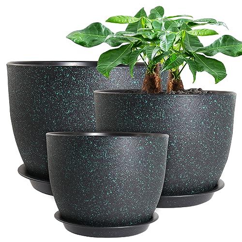 Black With Green Speckles