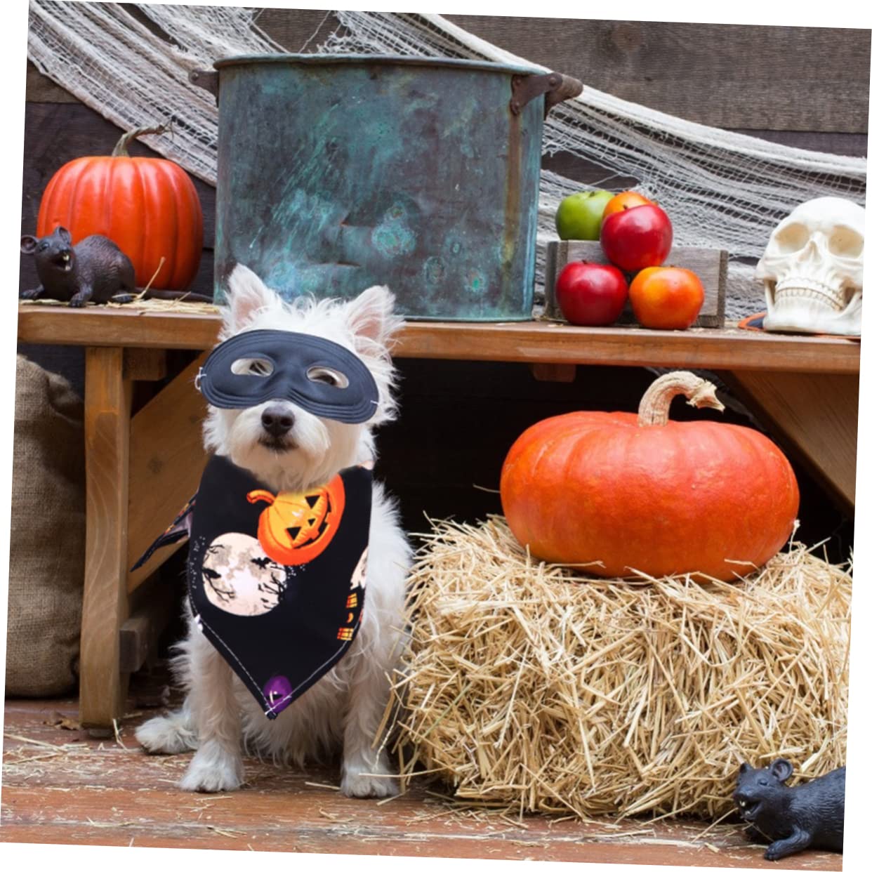 6 Pcs Halloween Pet Bandanas - Custom Triangle Scarf for Dogs, Witch Bibs with Pearlescent Lip Gloss Design | Perfect for Halloween Costumes, Pet Parties & Photo Shoots