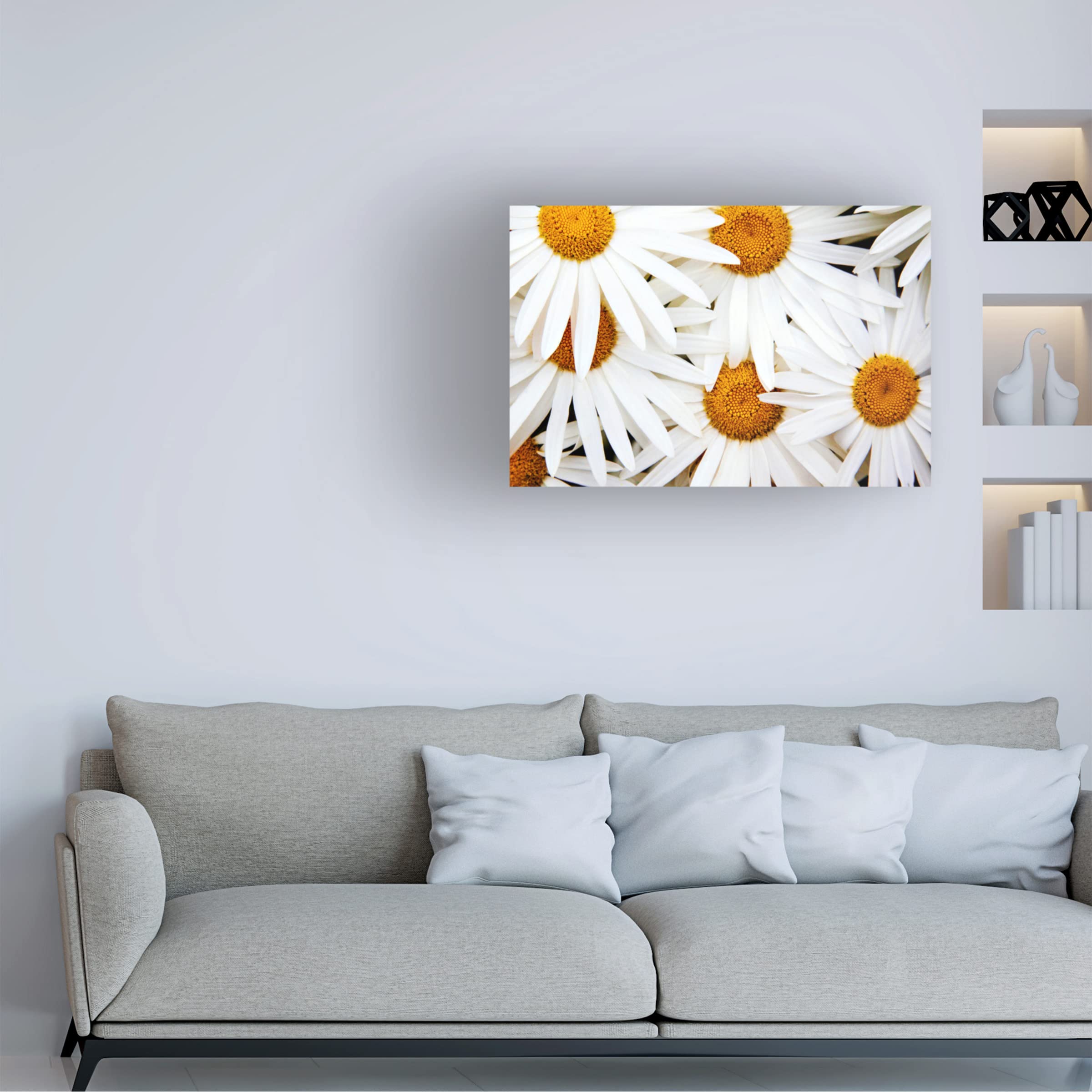 Michael Broom 'Daisy Splash' Canvas Wall Art Print - Modern Floral Home Decor for Living Room, Bedroom & Office - Trademark Fine Art Collection