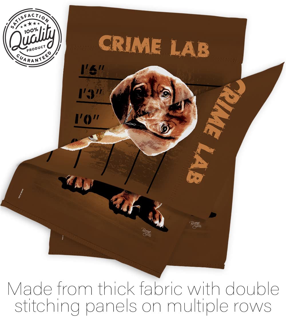 Crime Lab Nature Pets House Flag Set 28x40 with Flagpole - Outdoor Decor