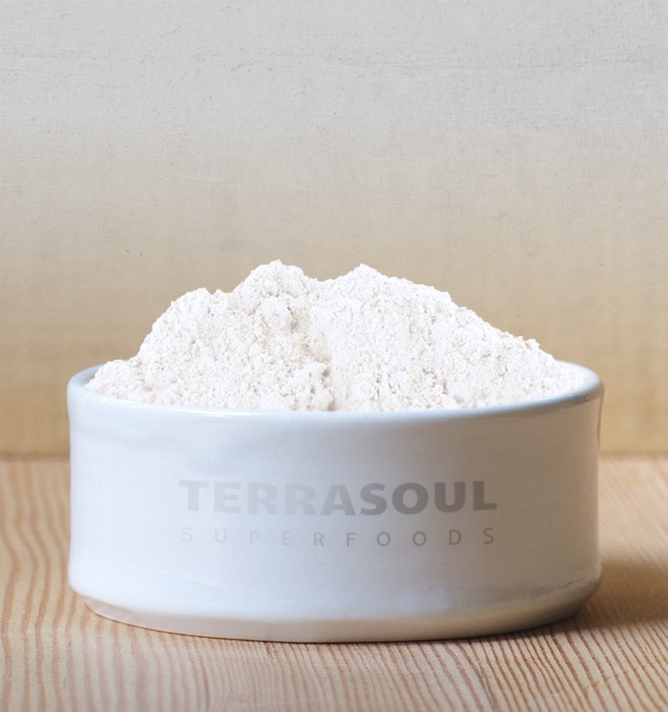 Organic Coconut Milk Powder by Terrasoul Superfoods | 16oz Plant-Based Dairy-Free Creamer | Keto, Paleo & Vegan Friendly | Perfect for Coffee, Smoothies & Baking