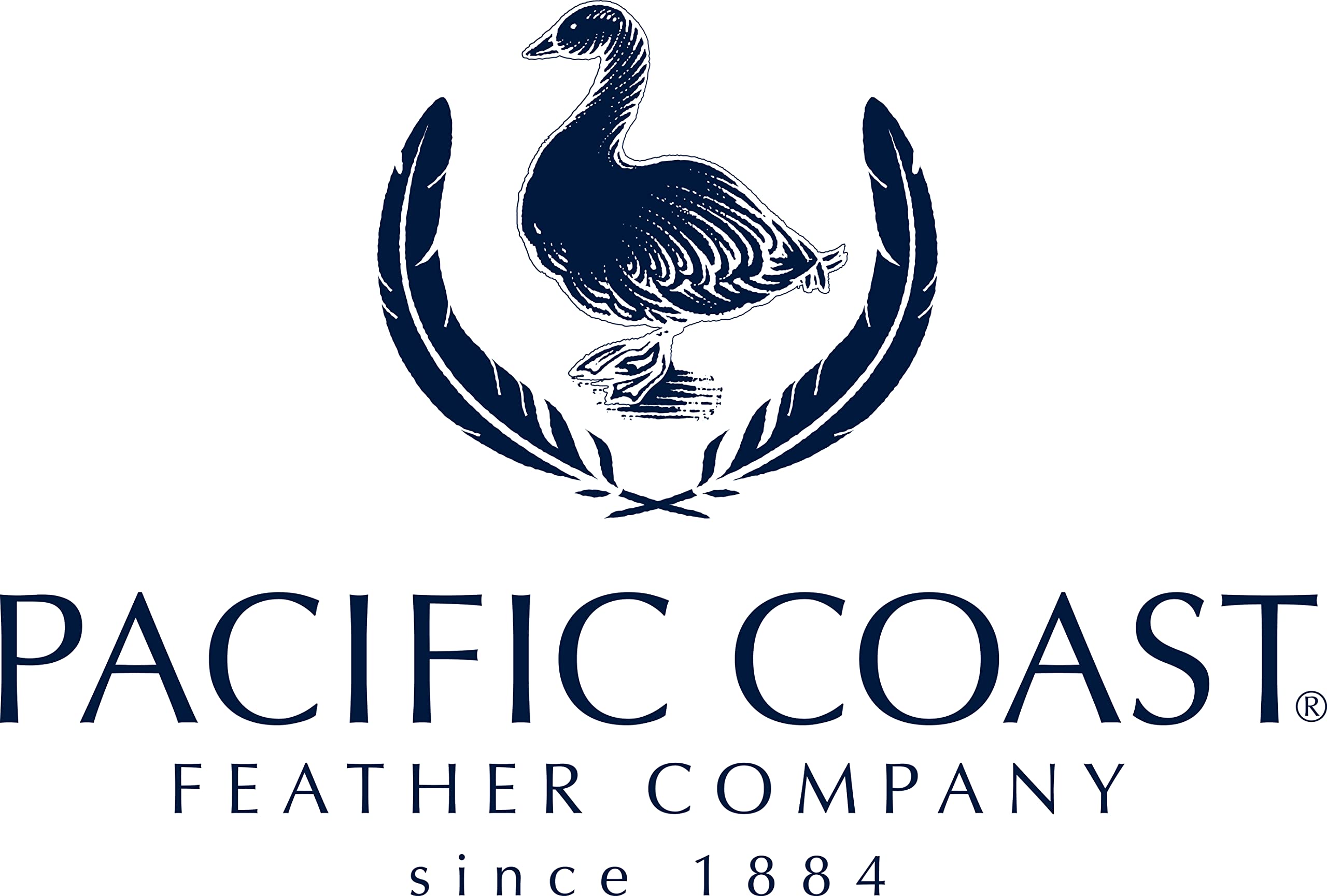 Pacific Coast Feather Hotel Double Touch of Down Pillow King Size (20” x 36”) – Medium Support Pillow with Hyperclean Down Feathers, 100% Cotton Cover – Perfect for Side Sleepers & Luxury Bedrooms