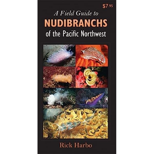 A Field Guide to Nudibranchs of the Pacific Northwest - Identify & Explore Sea Slugs for Marine Enthusiasts & Scuba Divers