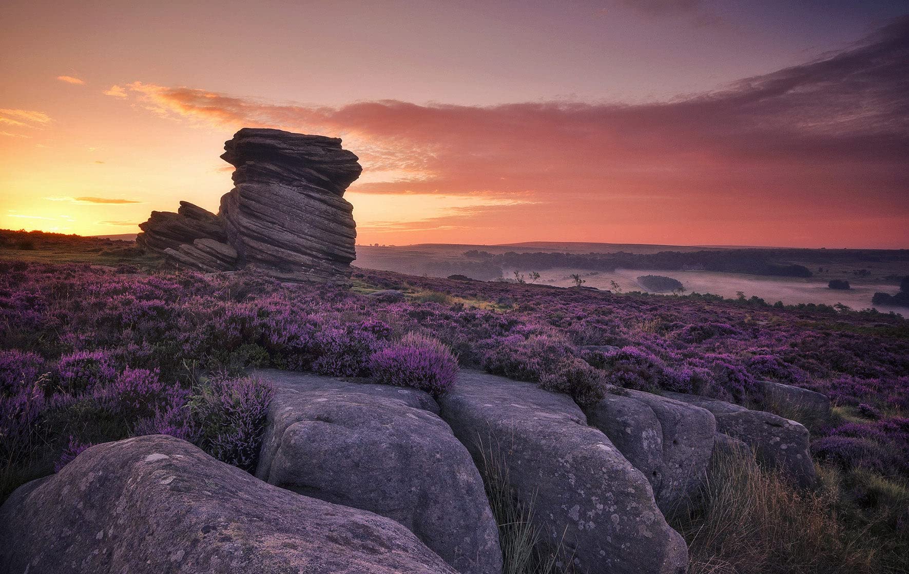Ufcell 1000-Piece Jigsaw Puzzle - Beautiful Lavender Landscape Puzzle Game for Adults & Families | Perfect for Relaxation, Stress Relief & Quality Family Time