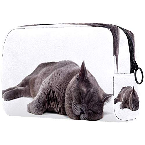 British Shorthair Cat Sleeping Design Cosmetic Bag - Travel Makeup Pouch & Toiletry Organizer for Women & Girls | Perfect for Daily Use, Travel, and Gift Giving