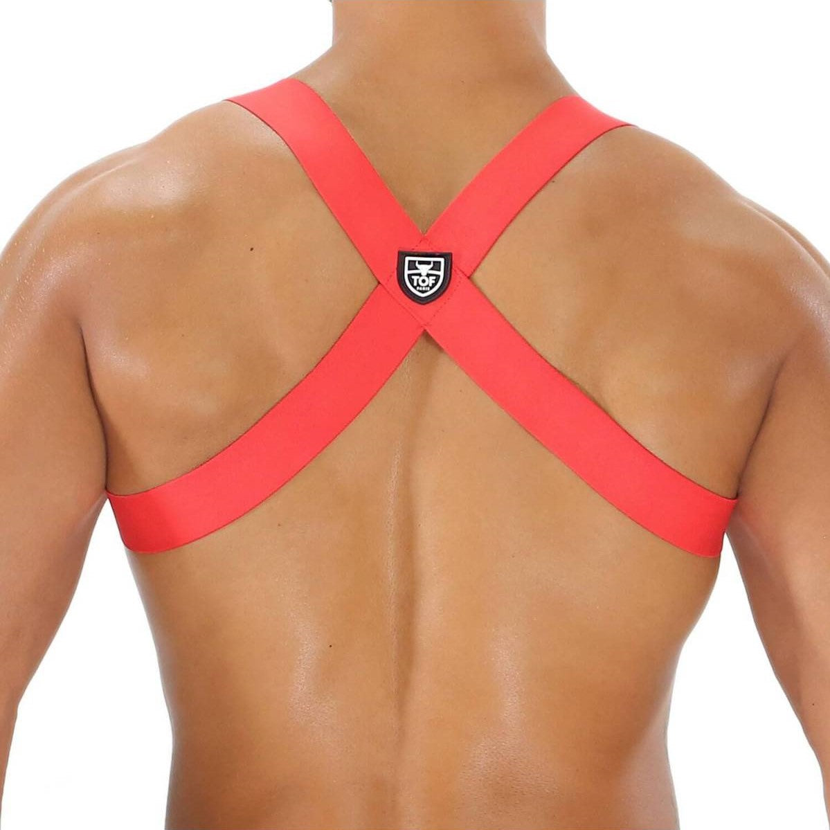 TOF Party Boy Harness Red - Adjustable Dog Harness for Small to Medium Dogs, Perfect for Walking, Training & Outdoor Adventures