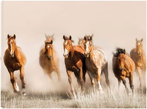 Outlaws