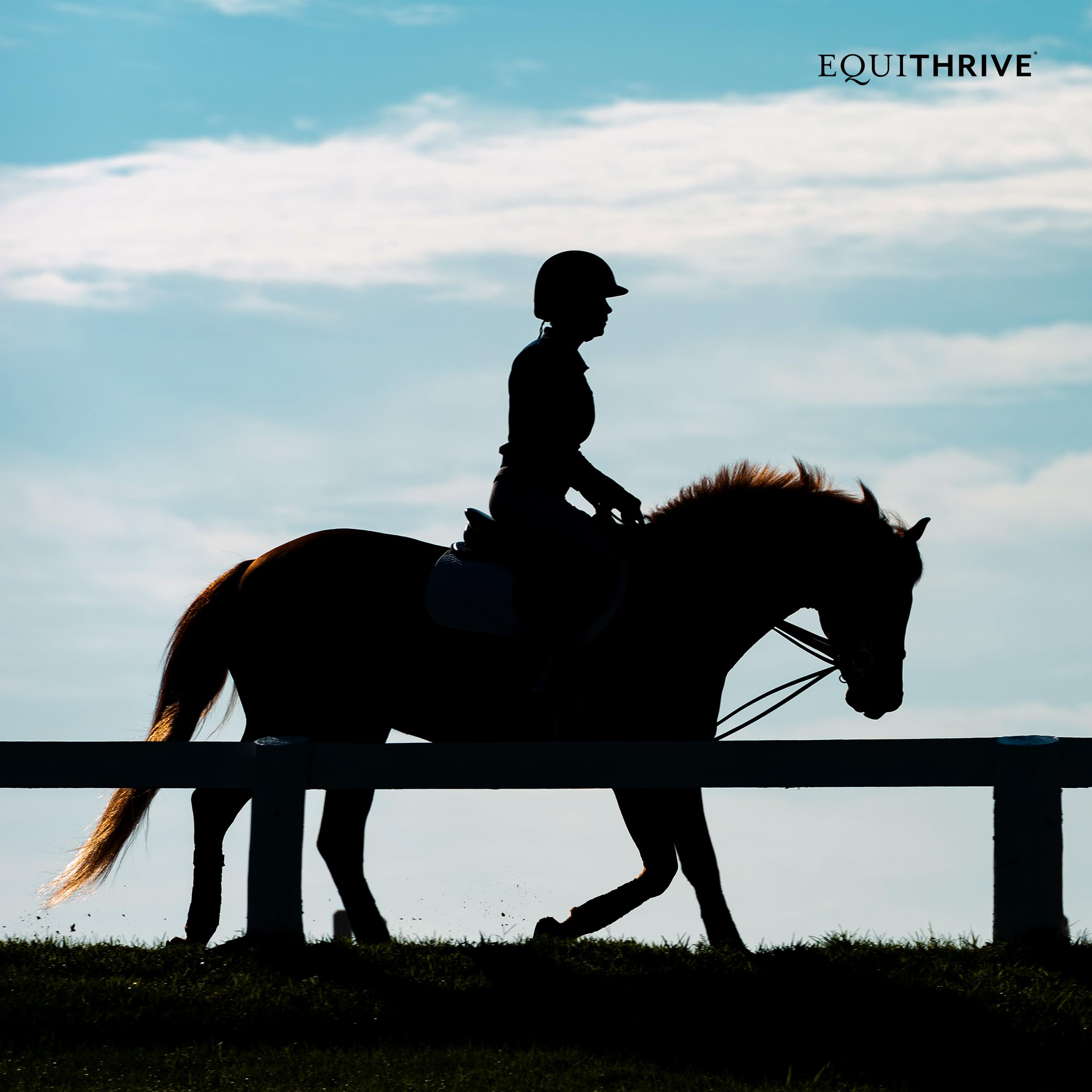 Equithrive Original Joint Supplement for Horses - Resveratrol & Hyaluronic Acid Pellets - Supports Joint Health for Performance, Training & Senior Horses - 3.3 lb Bag - Ideal for Competition Prep & Daily Equine Care
