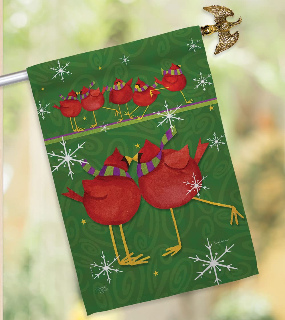 Callin All Cardinals Winter House Flag Set 28x40 - Outdoor Holiday Decor