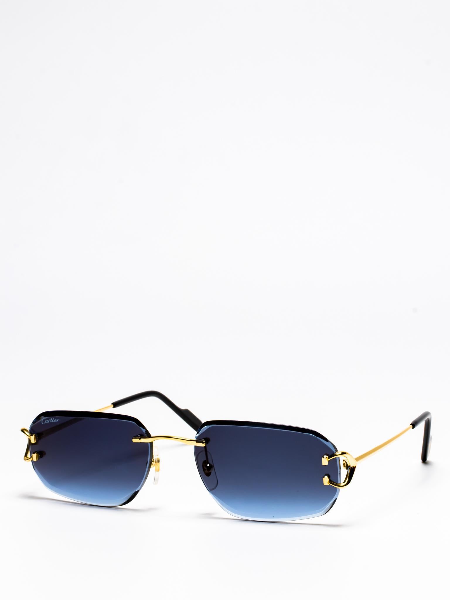 Cartier CT0468S 002 C Décor Sunglasses - Luxury Designer Shades for Women & Men - UV Protection & Fashion Statement - Perfect for Beach, Driving & Outdoor Activities