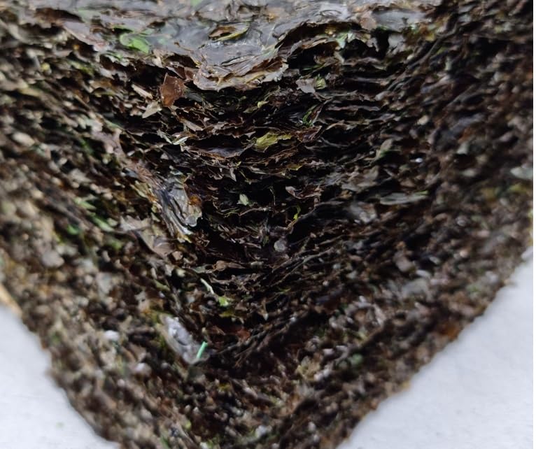 Premium Gopchang Seaweed Snack 250g (50 Sheets) - Crispy Korean Seaweed Snacks for Healthy Keto Diet, Vegan & Gluten-Free - Perfect for On-the-Go Snacking, Lunch Boxes & Party Platters