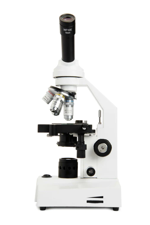 Celestron Labs CM2000CF Compound Microscope 40X-2000X Magnification with LED Illumination - Ideal for Students, Professionals & Home Science Labs