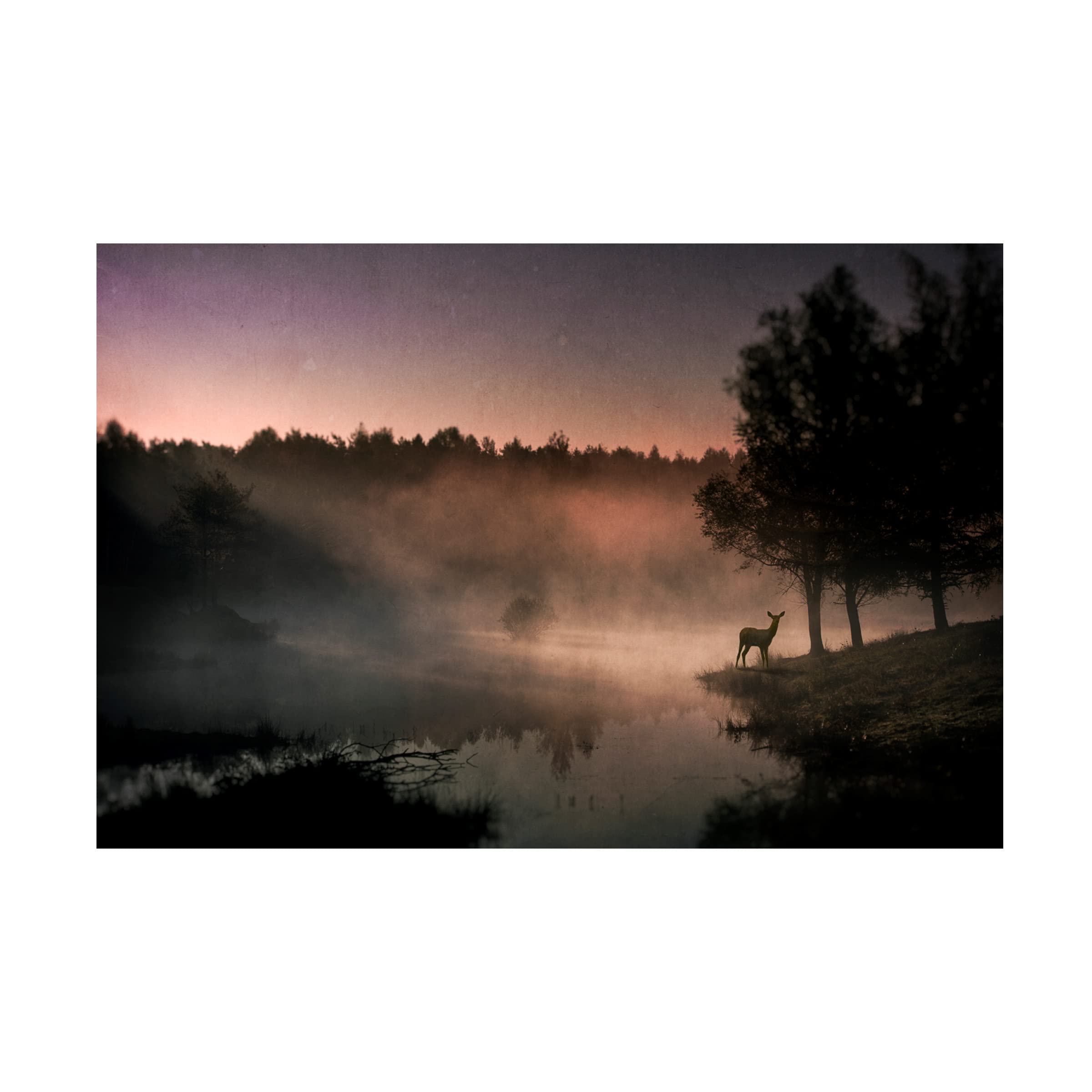 Trademark Fine Art 'Steamy Water' Canvas Wall Art by Wim Schuurmans - Modern Abstract Painting for Living Room, Bedroom & Office Decor