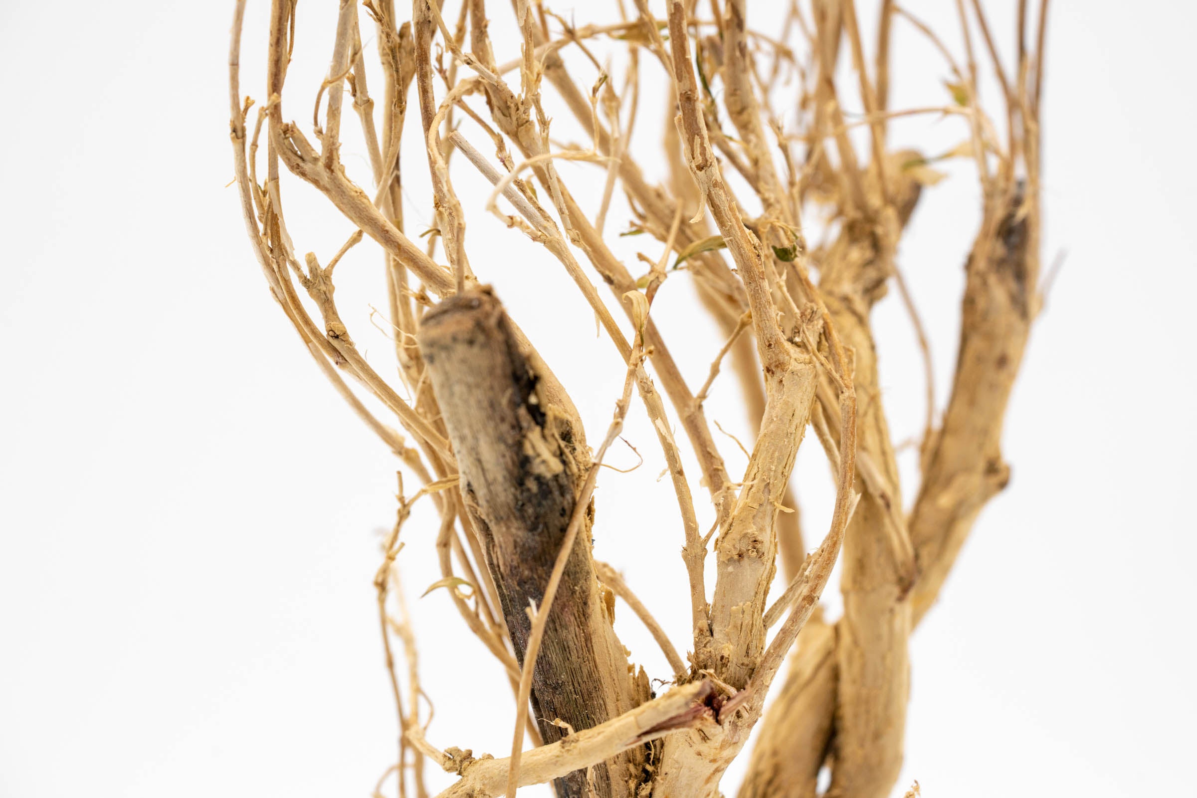 Natural Tangled Tree Root Driftwood for Aquarium Decor - Unique Fish Tank Decoration, Reptile Habitat & Terrarium Design - Perfect for Aquatic Plants and Shrimp Tanks