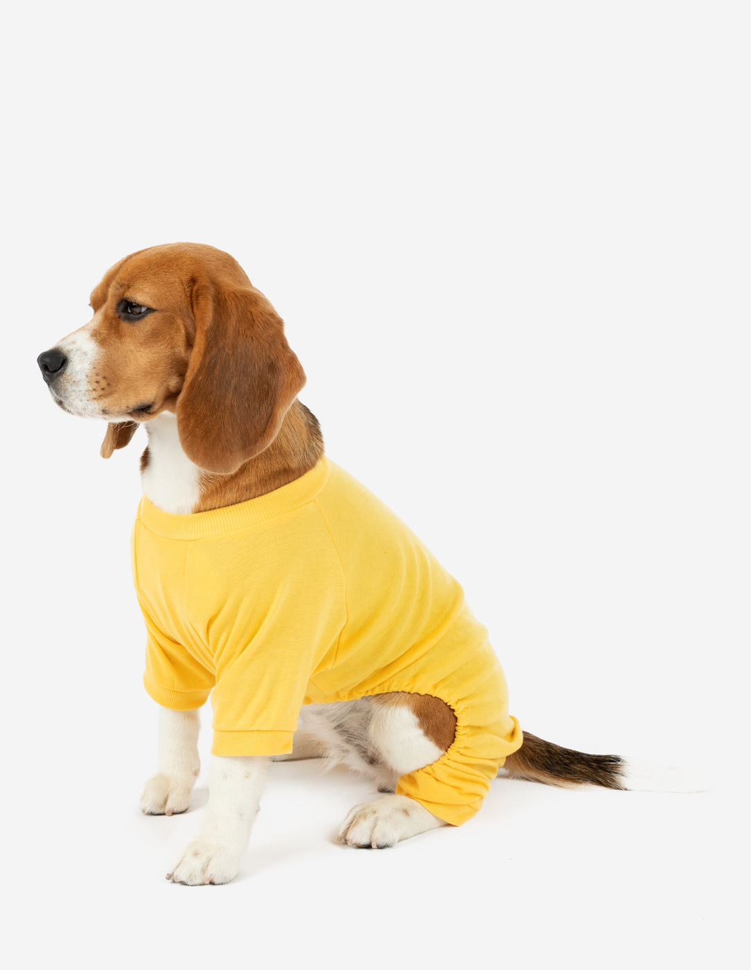 Yellow Solid Color Matching Family Pajama Set - Cozy Sleepwear for Family Bonding & Holiday Photos