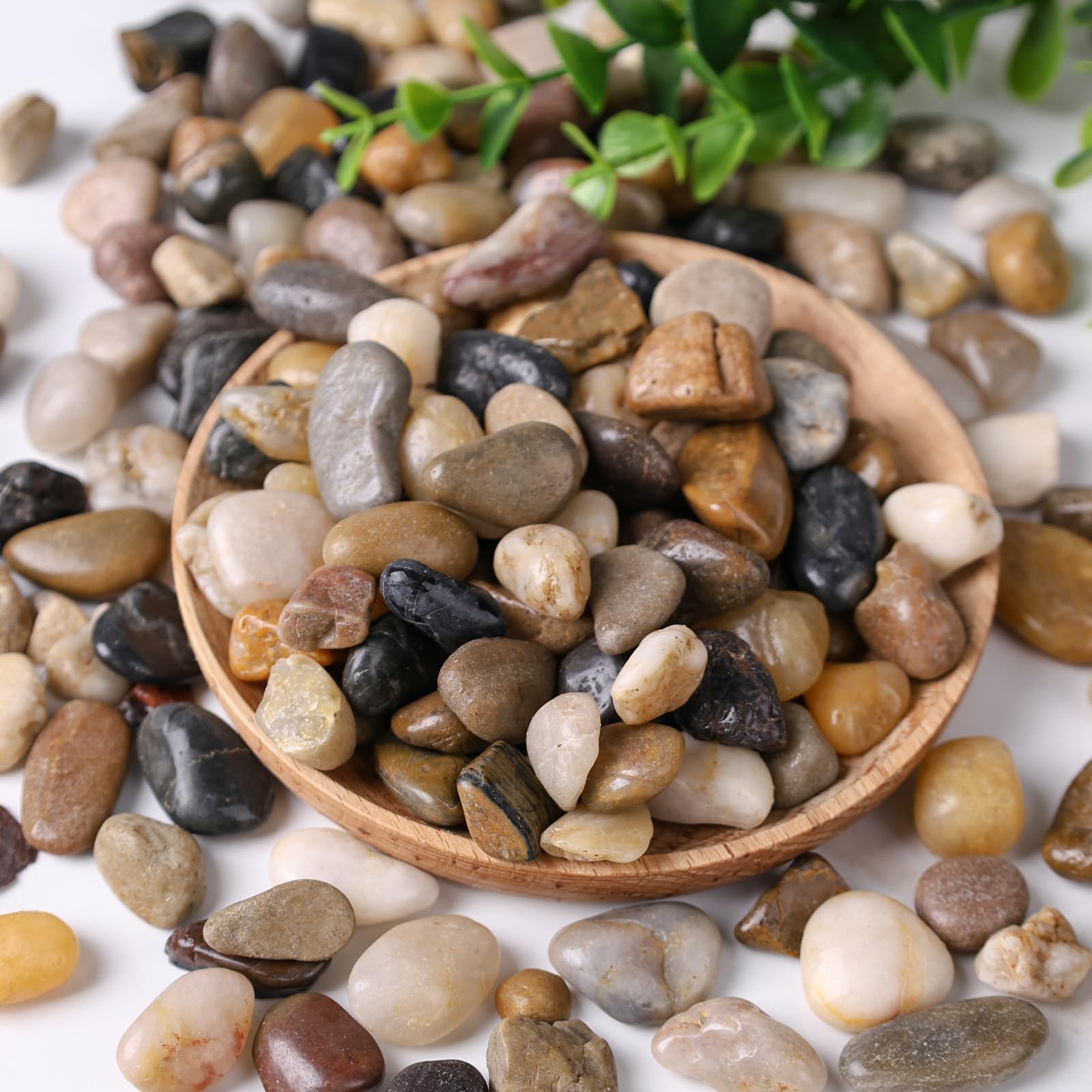 DomeStar 1Lb Natural Decorative River Pebbles - Small Gravel Stones for Potted Plants, Indoor Gardening, Terrariums & Home Decor | Perfect for Succulents, Vases & Aquascaping