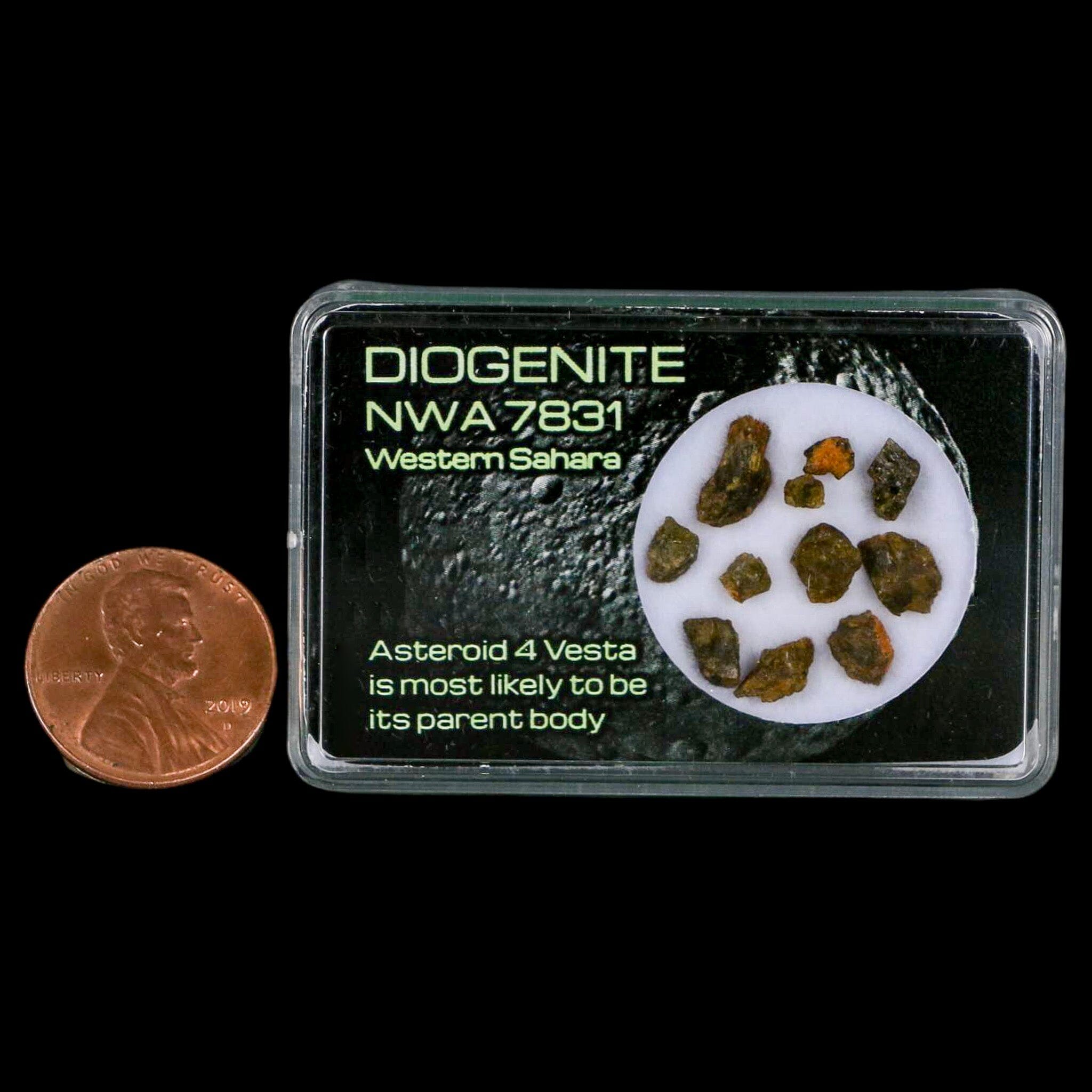 Diogenite Meteorite Specimen from Asteroid 4 Vesta - NMW 7831 Western Sahara Display Piece for Collectors & Science Education | Perfect for Home Decor, Museum Displays & Astronomy Enthusiasts
