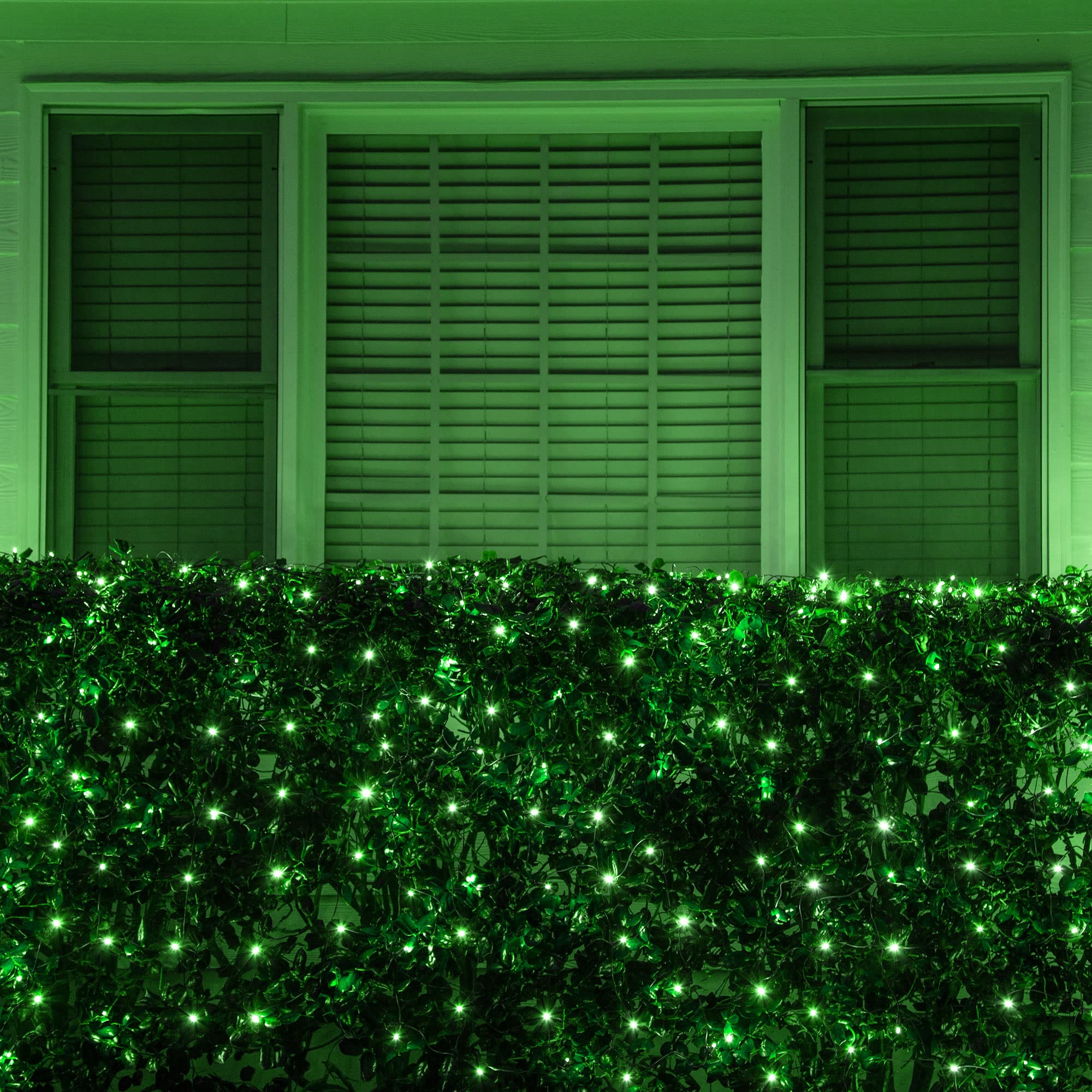 Wintergreen LED Net Lights - 100 LEDs, 4x6ft for Outdoor Christmas Decor