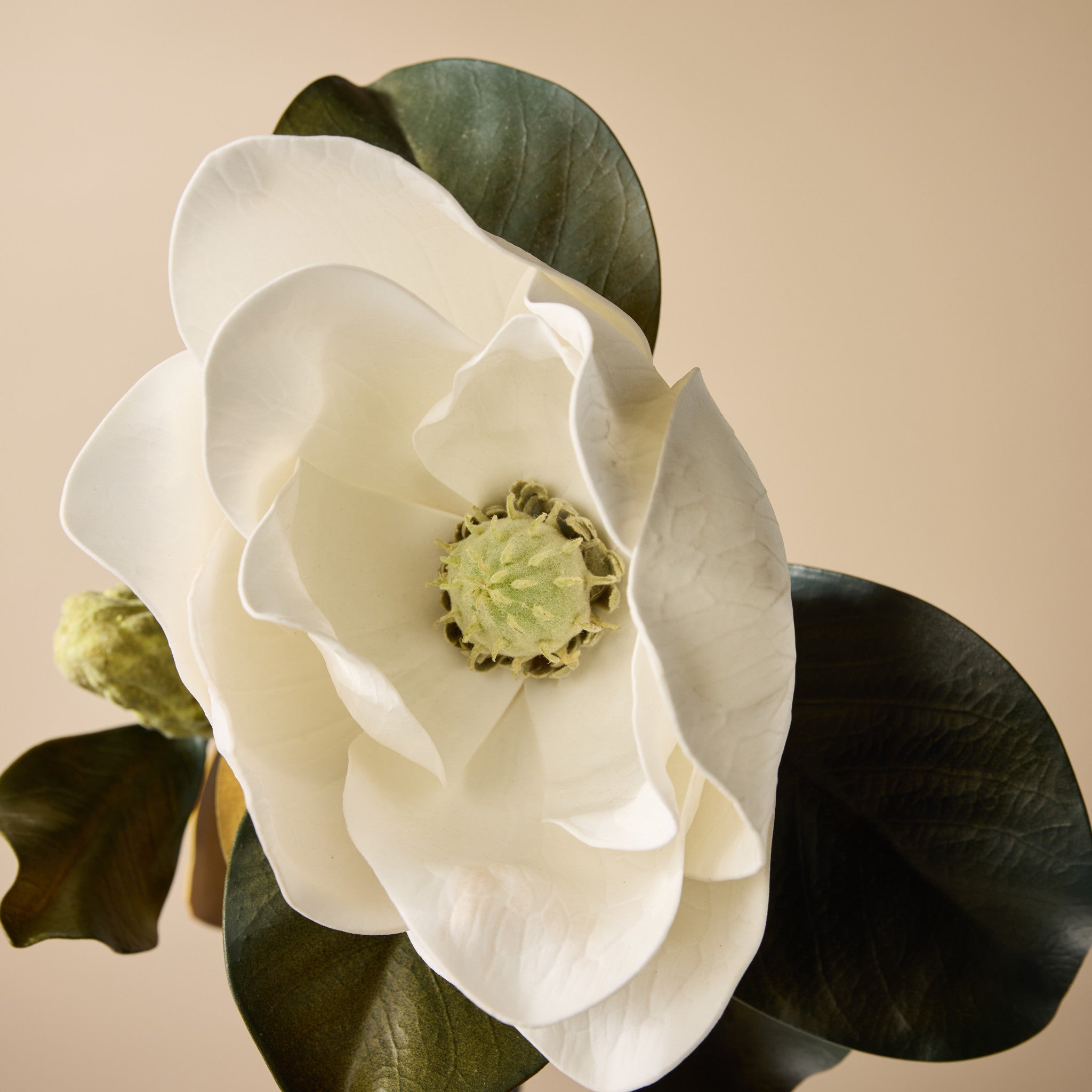 Artificial Magnolia Grandiflora Stem - White 26